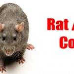 Rat-control